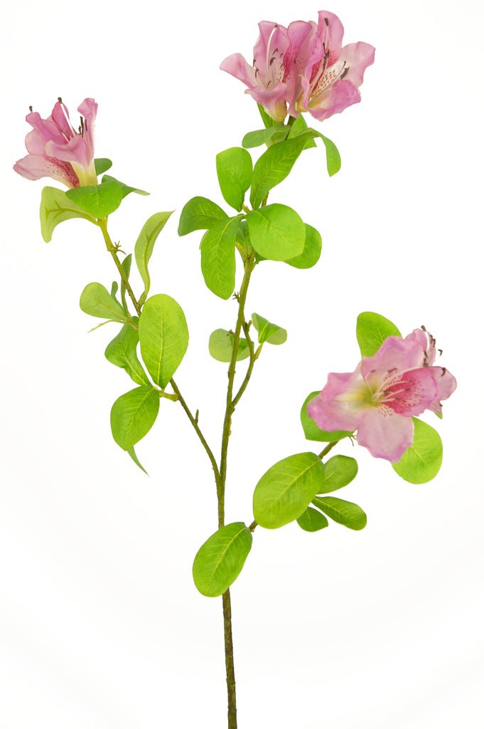 Livraison plante Rhododendron Azalée artificielle rose
