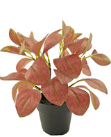 Livraison plante Rohdea rouge - Plante verte artificielle