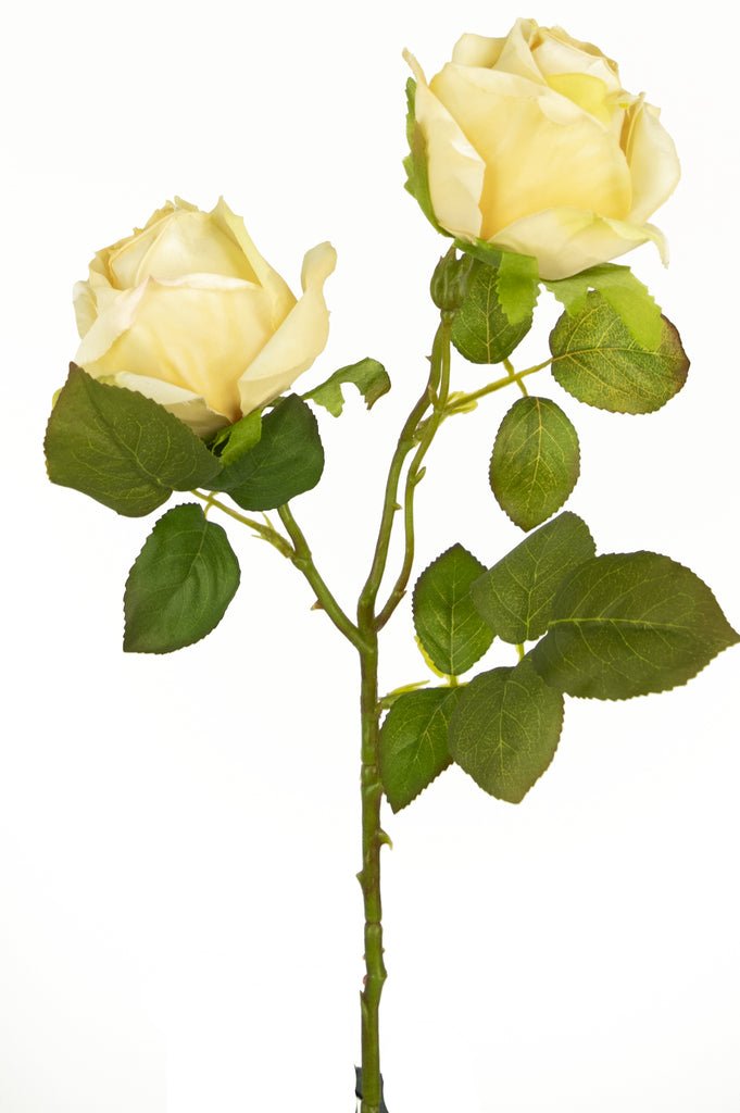Livraison plante Rose Artificielle Deluxe blanche/crème