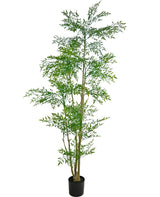 Livraison plante Ruscus - Arbre artificiel