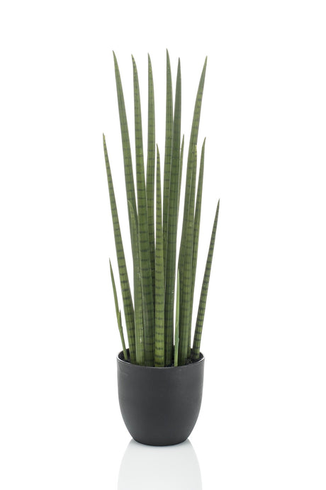 Livraison plante Sansevieria Cylindrica plante artificielle - h70cm, Ø12cm