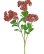 Livraison plante Sedum rose artificiel