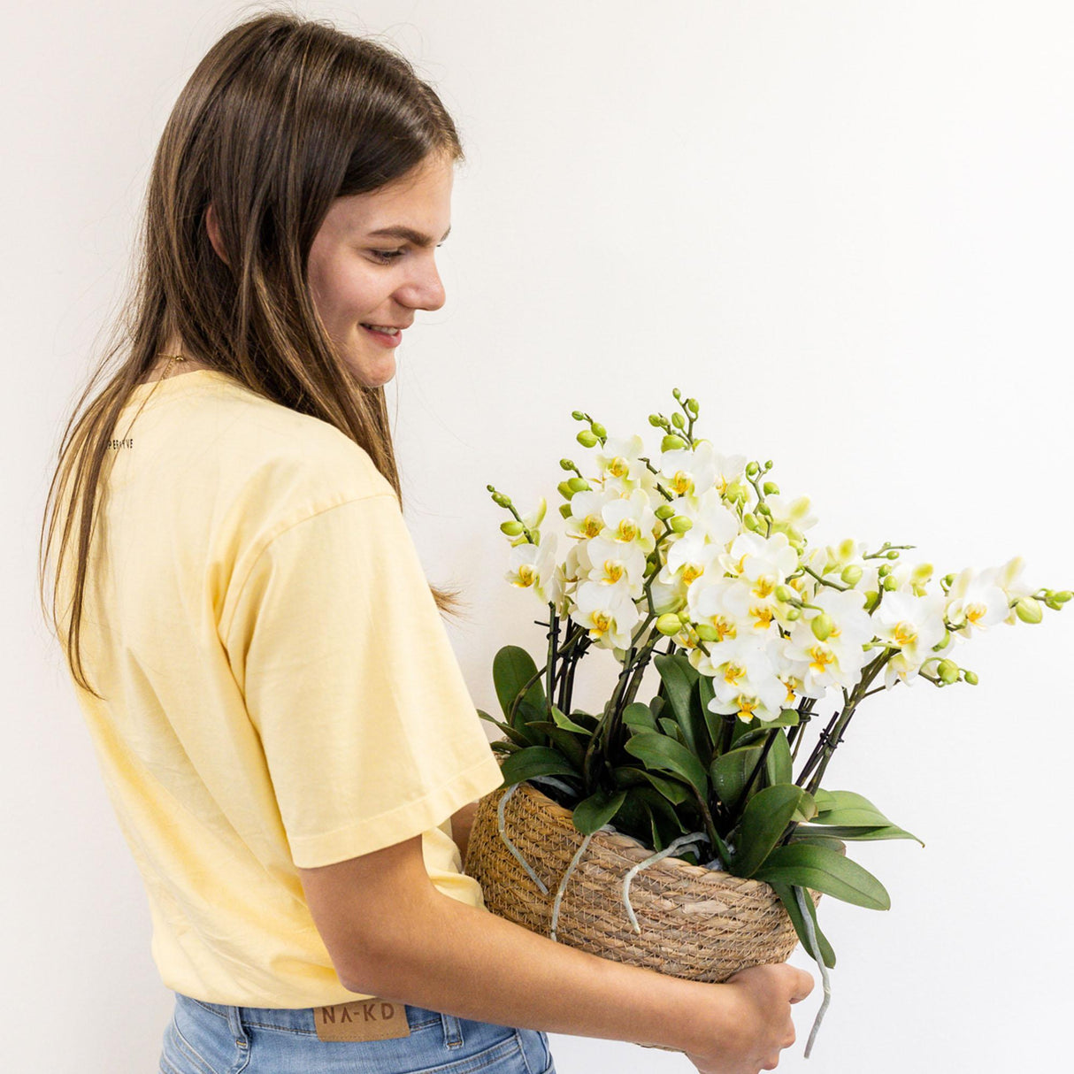 Livraison plante Set de 3 orchidées blanches et 3 Rhipsalis dans un panier en coton avec réservoir d'eau