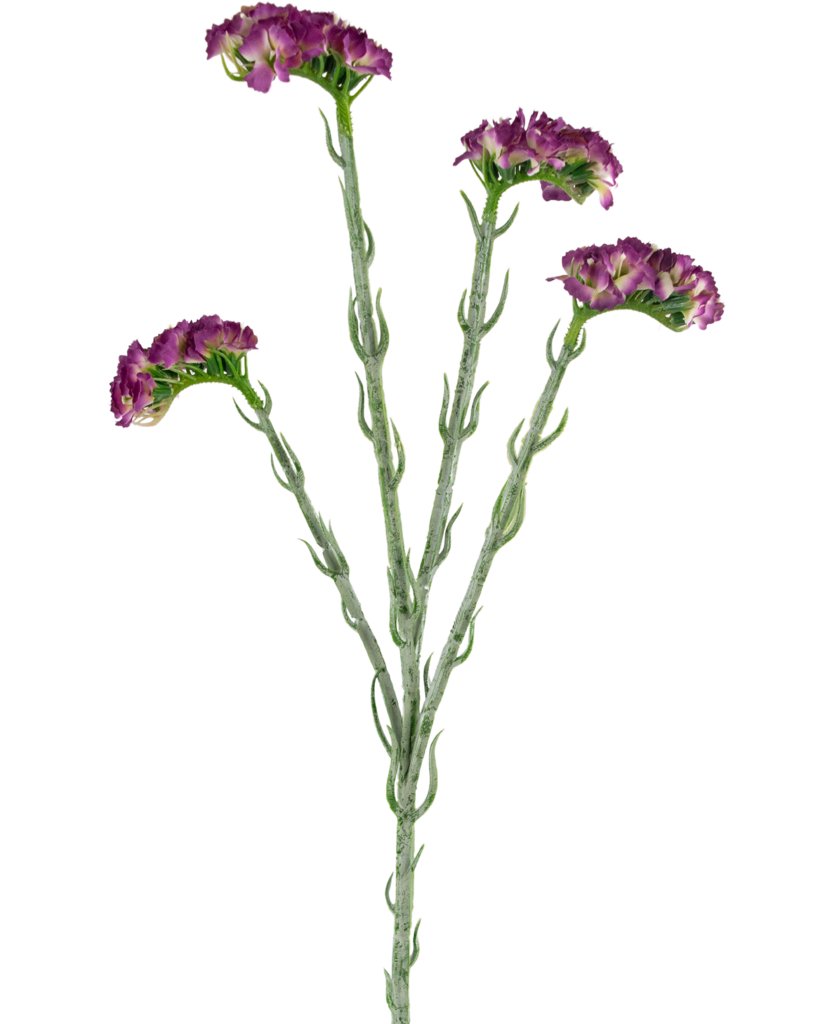 Livraison plante Statice artificiel violet foncé