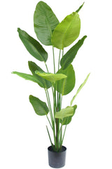 Livraison plante Strelitzia - Grande plante artificielle