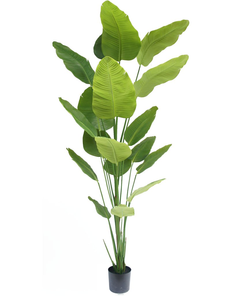Livraison plante Strelitzia - grande plante artificielle