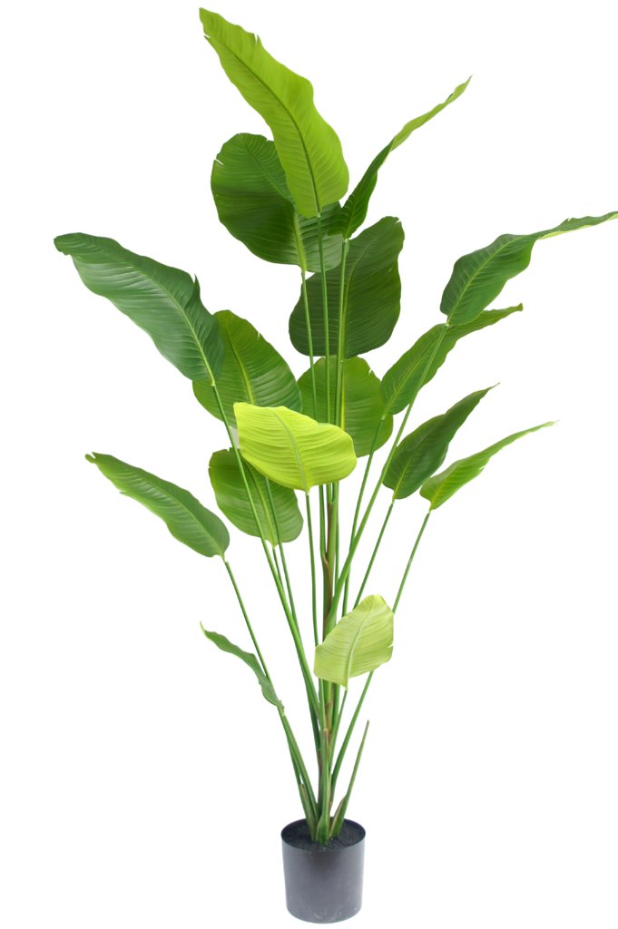Livraison plante Strelitzia - grande plante artificielle