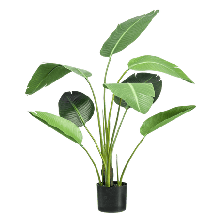 Livraison plante Strelitzia nicolai artificiel