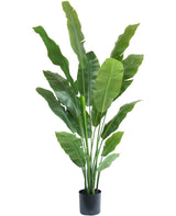 Livraison plante Strelitzia Nicolai - grande plante artificielle