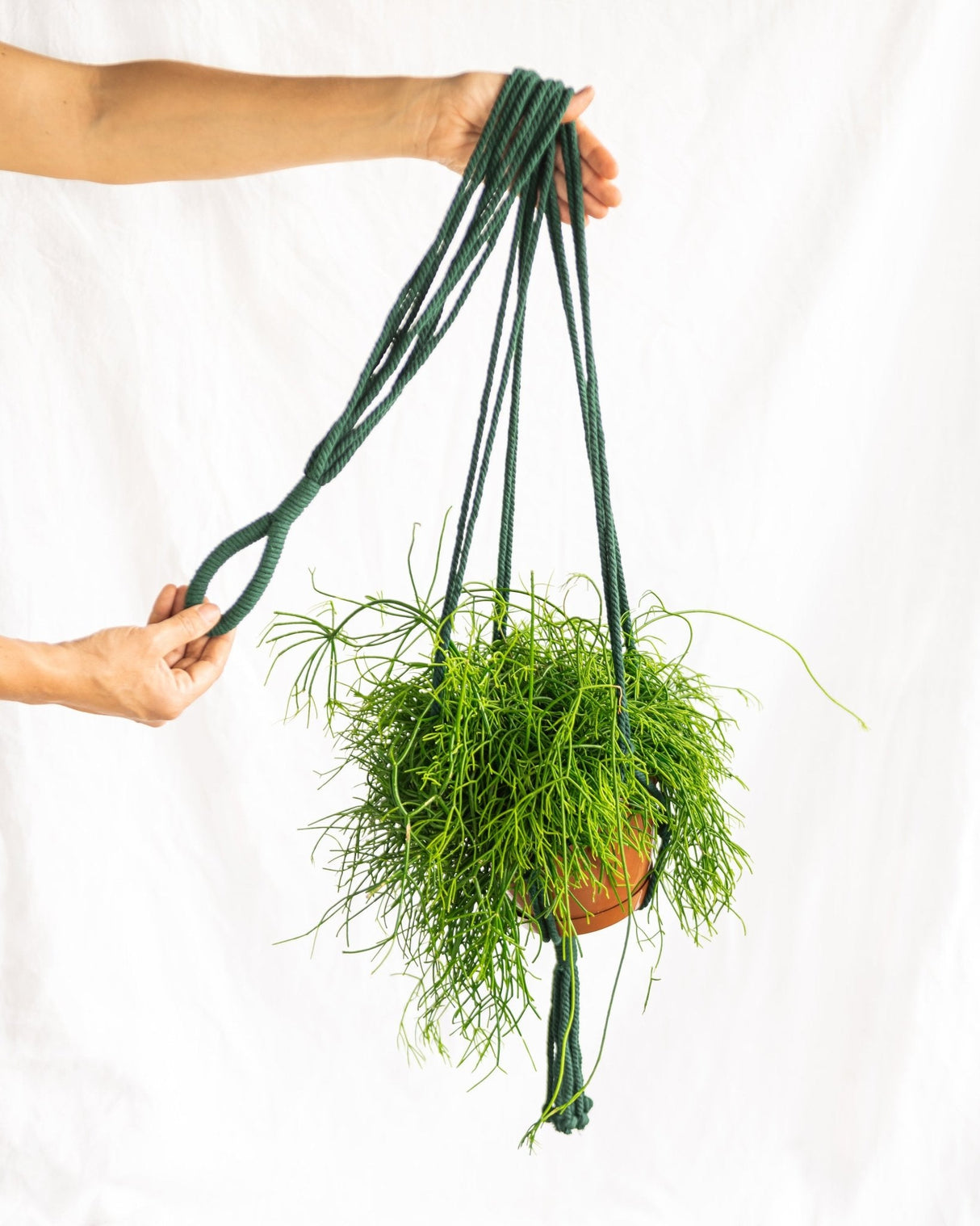 Suspension macramé vert pour plante d'intérieur à suspendre – La