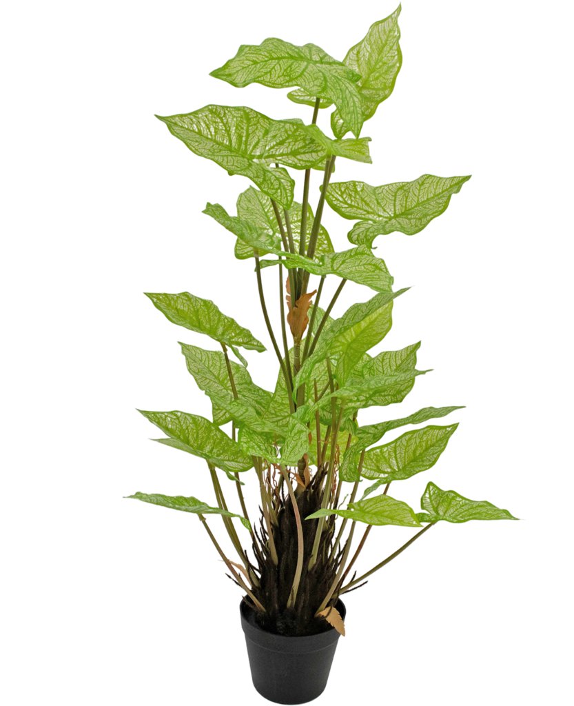 Livraison plante Syngonium - grande plante artificielle