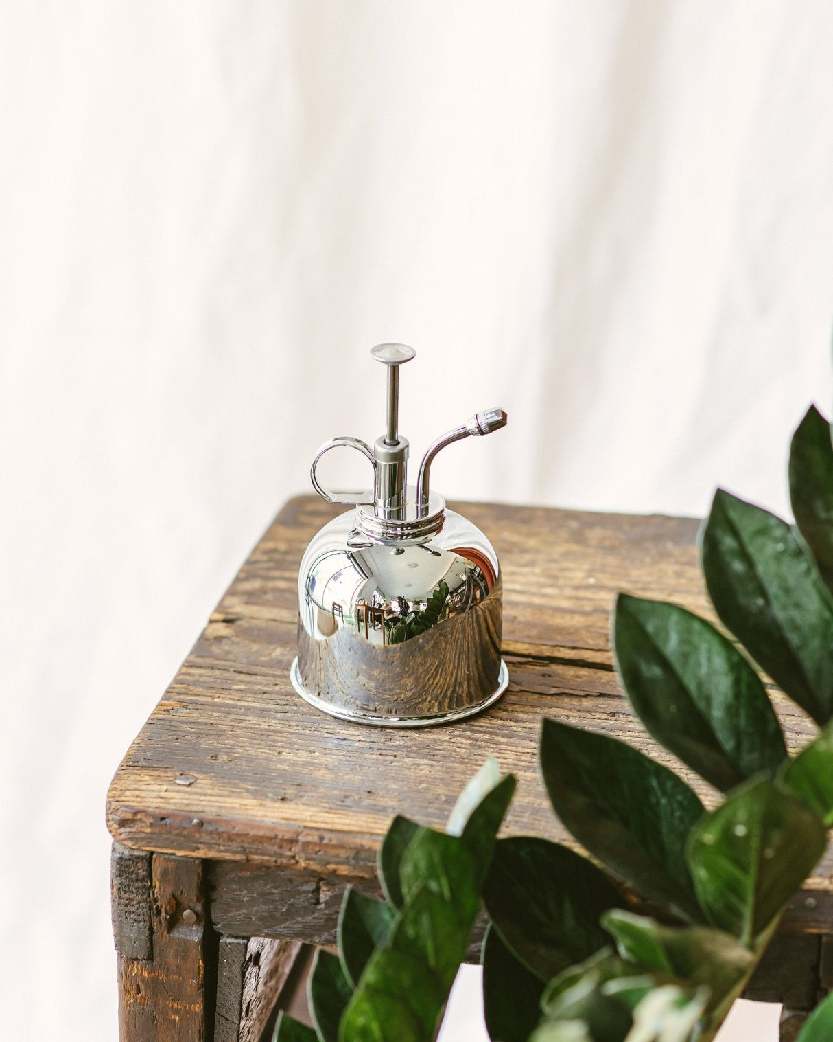 Vintage metal spray bottle - Silver for my houseplant – La Green Touch