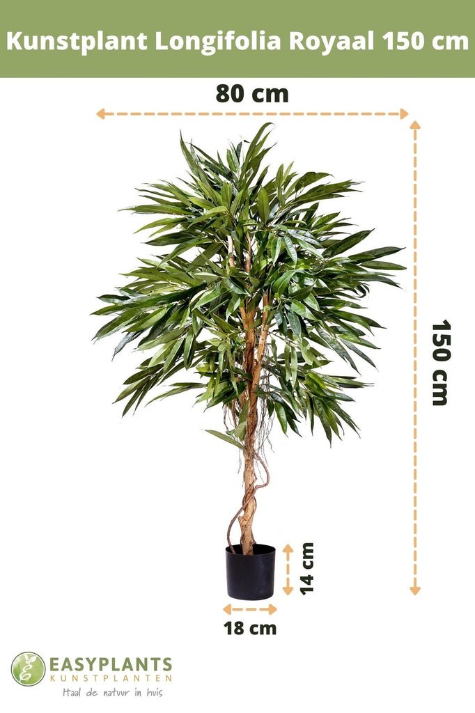 Livraison plante Veronica Longifolia Royale - Arbre artificiel