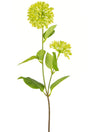 Livraison plante Viburnum vert - Branche fleurie artificielle