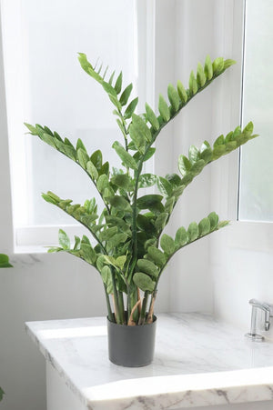 Livraison plante Zamioculcas plante artificielle - h110cm, Ø13cm