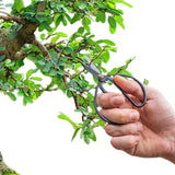 Forbici per bonsai L - 19 cm - Strumento per bonsai