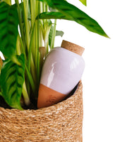 Oya Pepin Lilac - Wasserdiffusor für Pflanzen