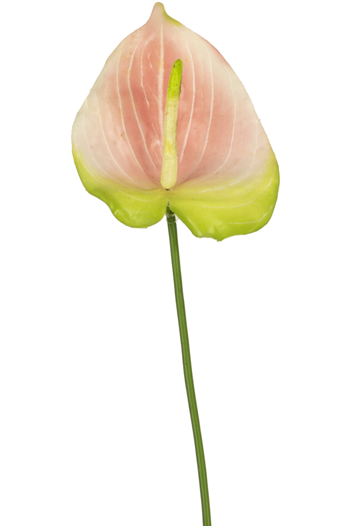 Anthurium rose artificiel