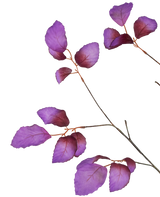 Appelblad - Branche fleurie artificielle