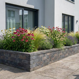 Pack Massif Plein Soleil Rose & Blanc - 30 plantes — photo 5