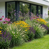 Pack Massif Plein Soleil Rose & Jaune - 30 plantes — photo 2