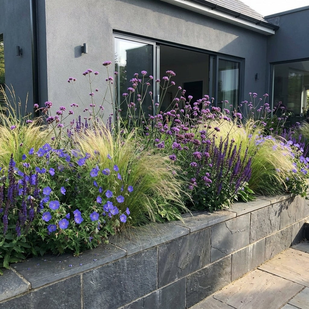 Pack Massif Plein Soleil Violet & Bleu (Stipe Cheveux D'Ange) - 30 plantes — photo 5