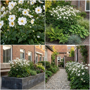 Pack Massif Soleil & Mi-Ombre Rose & Blanc (Pachysandre Du Japon) - 30 plantes #3 — photo 10
