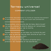 Terreau universel 30 litres – Pour plantes d'intérieur et d'extérieur