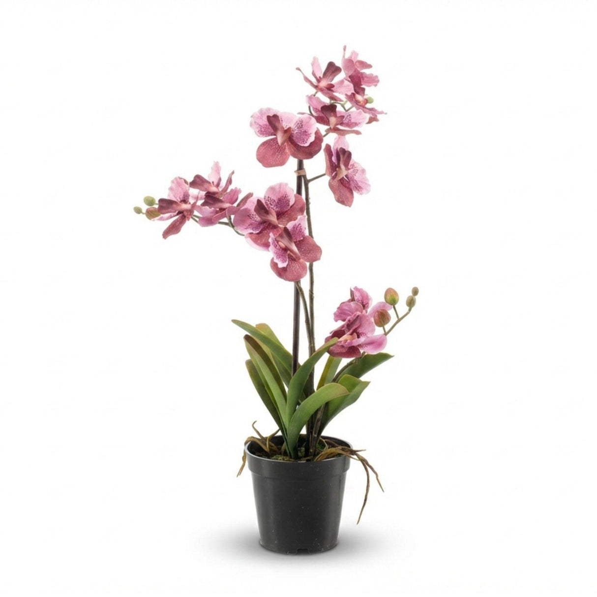 Orchidee Vanda plante artificielle