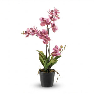 Orchidee Vanda plante artificielle