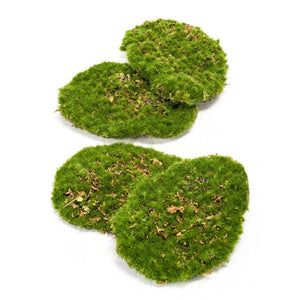 Mousse Plate plante artificielle