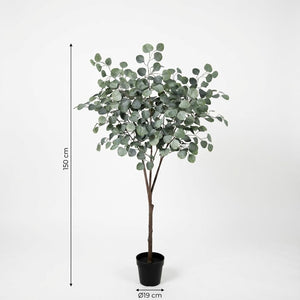 Eucalyptus plante artificielle