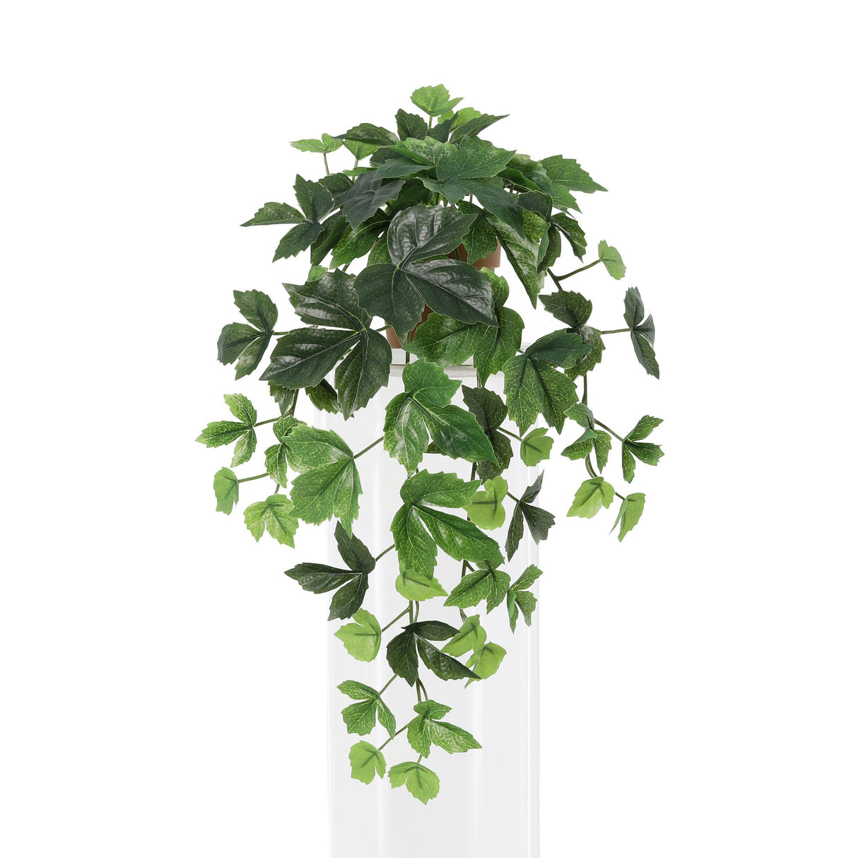 Lierre Retombant plante artificielle