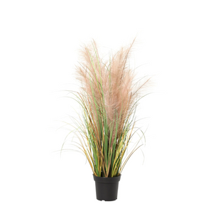 Roseau Commun plante artificielle