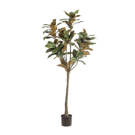 Magnolia plante artificielle