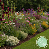 Kit de vivaces pour abeilles et papillons - 24 plants pour 3 m² - H 25 cm, pot Ø11 cm