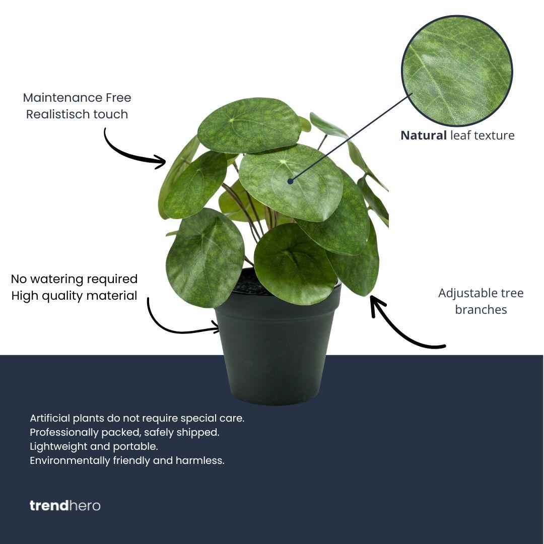 Pilea plante artificielle
