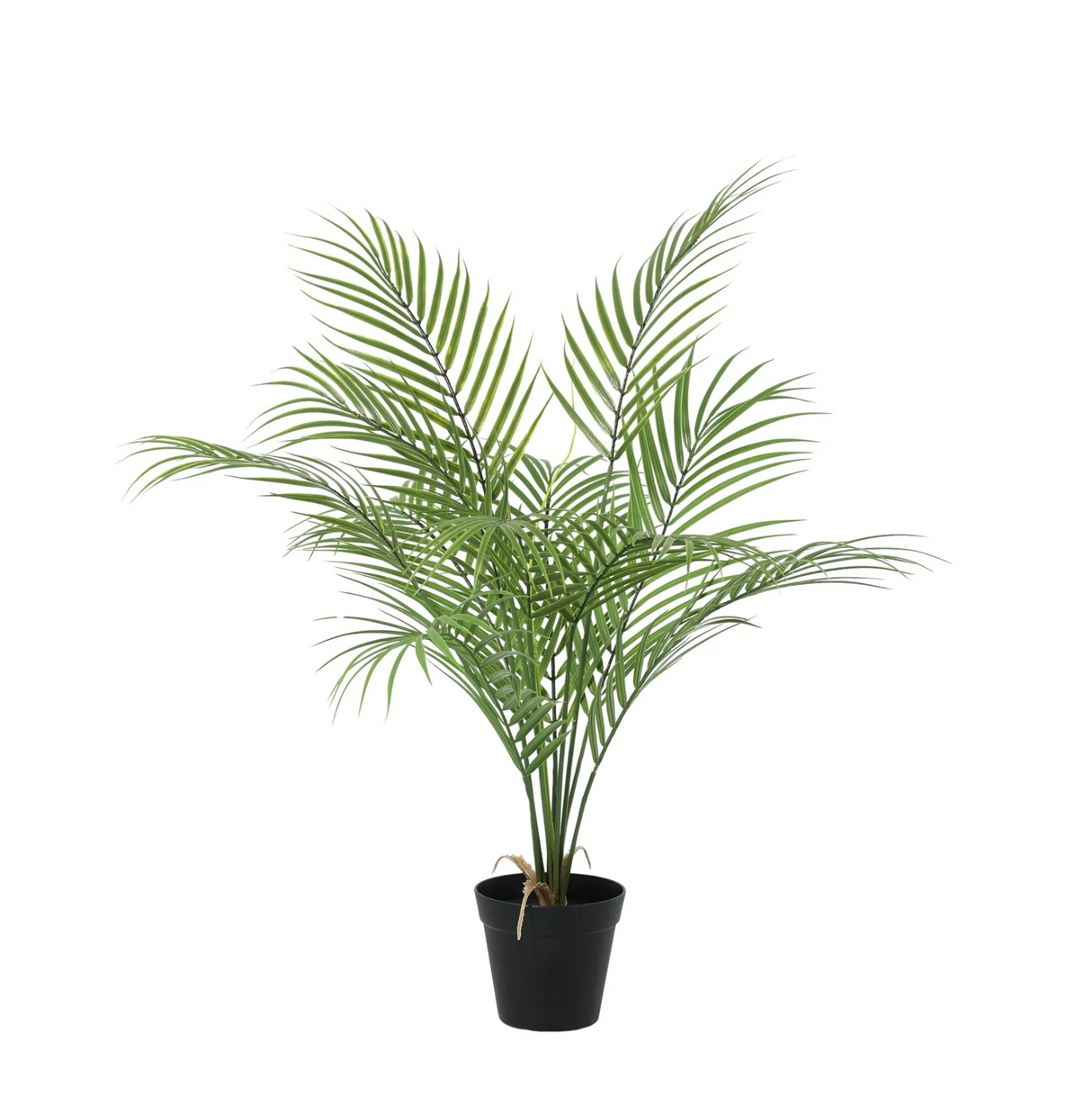 Kentia Palmier plante artificielle