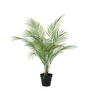 Kentia Palmier plante artificielle