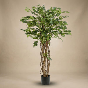 Ficus Liane Arbuste plante artificielle