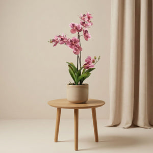 Orchidee Vanda plante artificielle