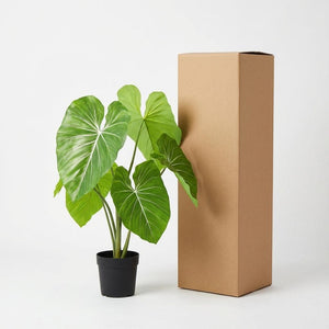 Philodendron plante artificielle