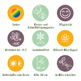 Kit de vivaces pour abeilles et papillons - 8 plants pour 1 m² - H 25 cm, pot Ø11 cm