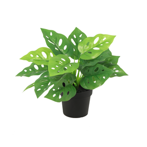 Monstera Monkey plante artificielle