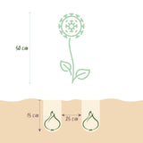 Ail d'ornement étoile de Perse - calibre 10/12