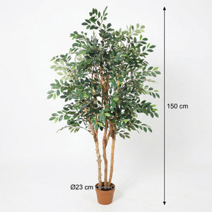 Ficus Exotica plante artificielle