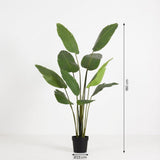 Strelitizia Nicolai plante artificielle