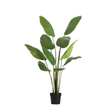 Strelitizia Nicolai plante artificielle