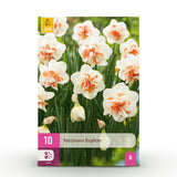 Narcisse Replete - calibre 10/12