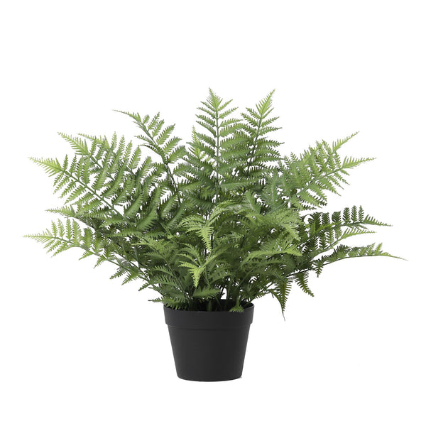 Nephrolepis Exaltata plante artificielle